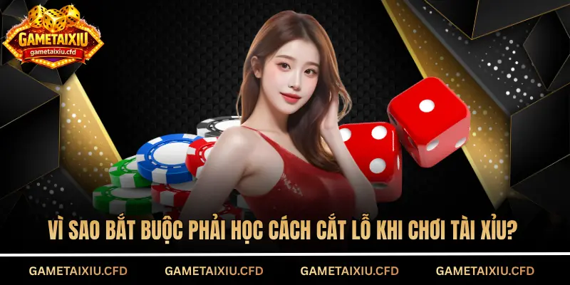 Vì sao bắt buộc phải học cách cắt lỗ khi chơi tài xỉu?